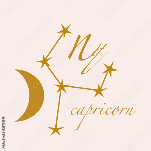 capricorn vector illustration