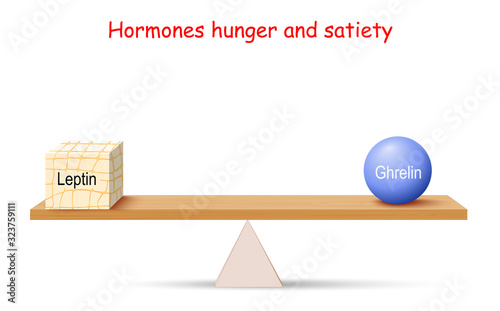 Balance of Hormones. hunger and satiety. Leptin (adipose tissue) and Ghrelin.