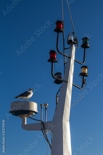 Detail of the mainmast and seagull photo