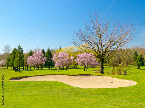 Golf place with gorgeous green and sand bunker.