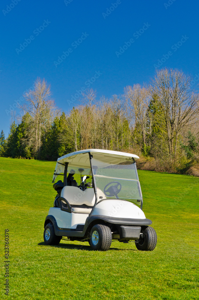 Golf cart over nice green and blue sky