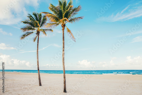 Beautiful tropical nature landscape with two tall palm trees and a sea ocean sand beach. Coastal seashore scenic view with exotic plants and blue aqua water. Summer seasonal wallpaper background.