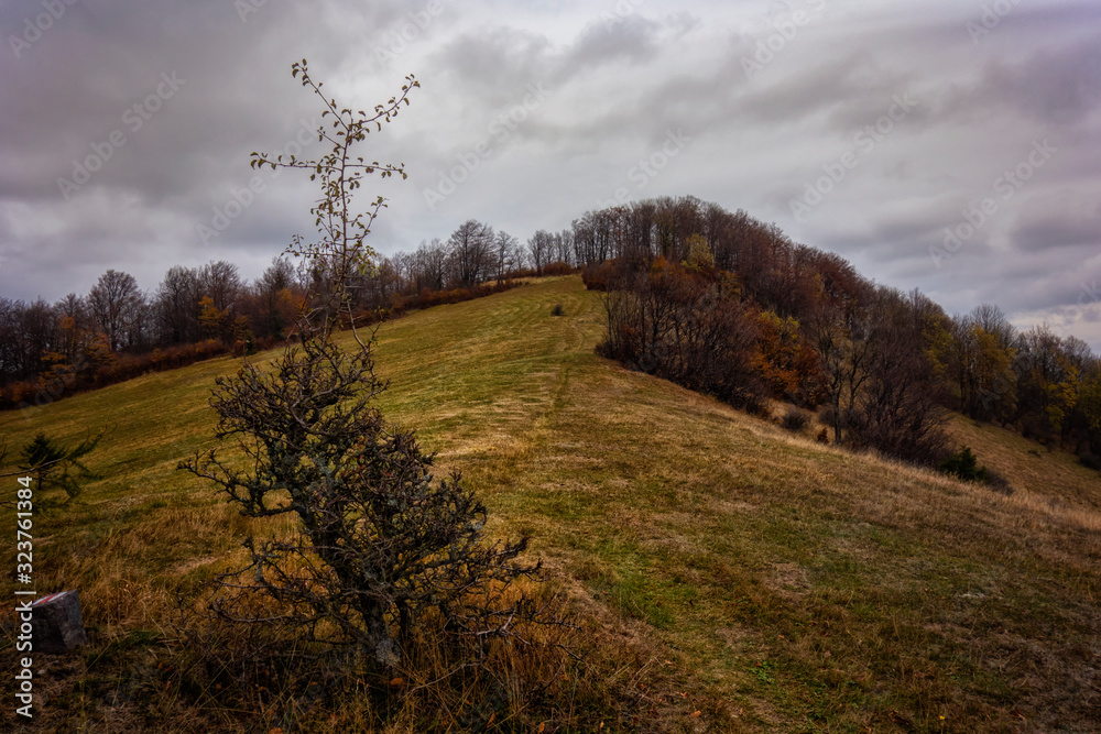 Obraz premium Landscape hills and trees.Autumn landscape.