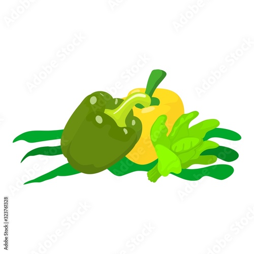 Diet food icon. Isometric illustration of diet food vector icon for web