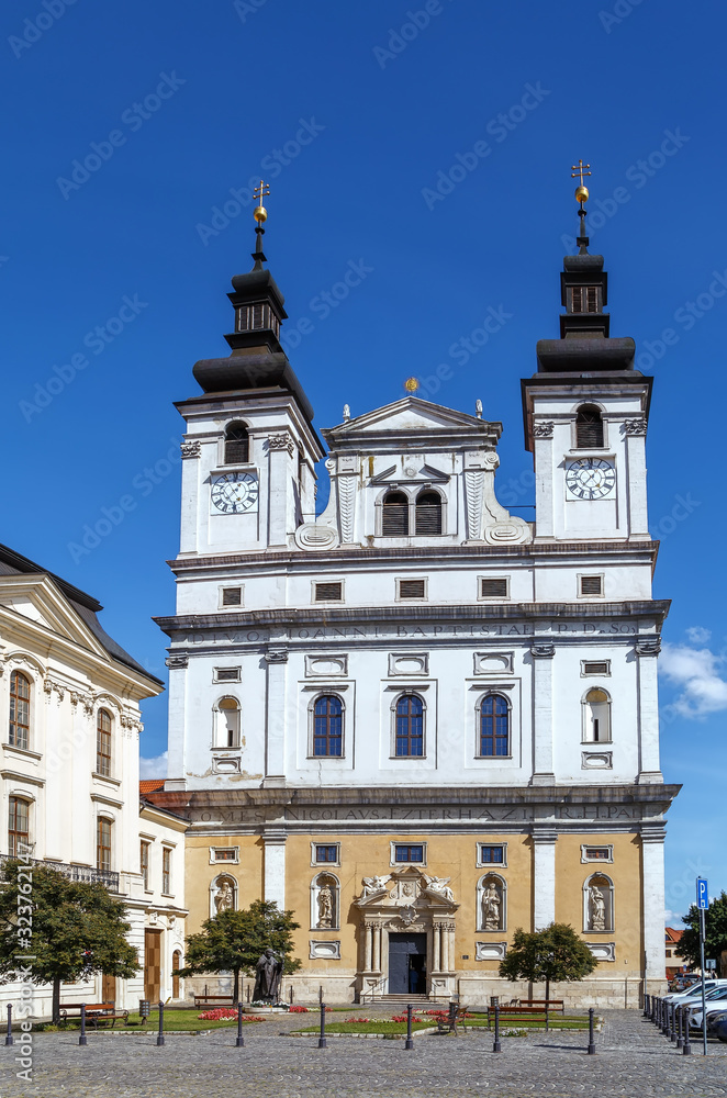 St. John the Baptist Cathedral, Trnava, Slovakia