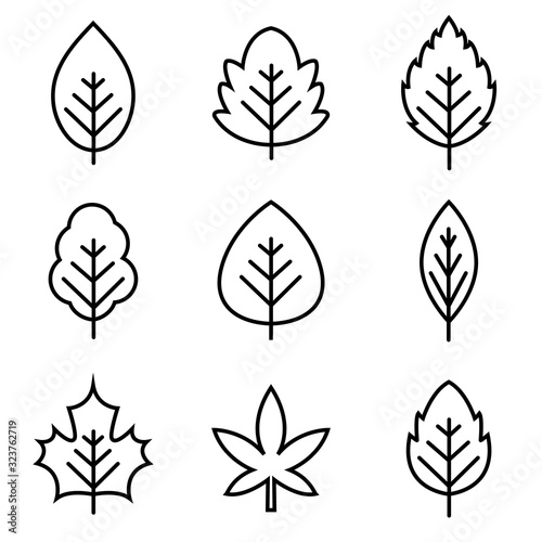 Leaf line icon set, logo isolated on white background