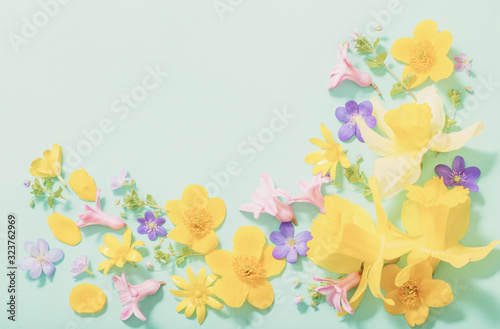 Fototapeta Naklejka Na Ścianę i Meble -  spring flowers on green background