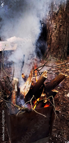 Ukrainian nature. Walk in the pine forest. Greenery and bonfire