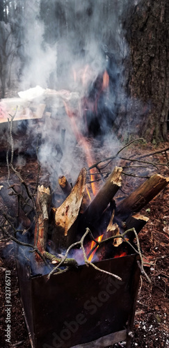 Ukrainian nature. Walk in the pine forest. Greenery and bonfire