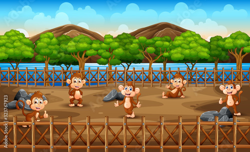 Scene with group of monkey at the zoo