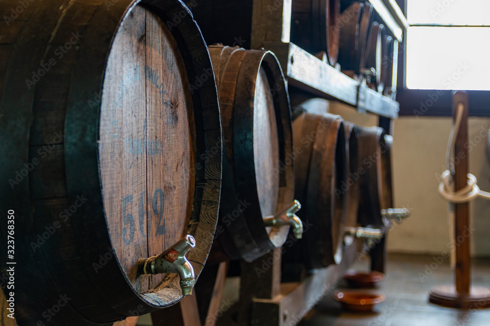 Besalu medieval village in Girona, Catalonia, Spain.