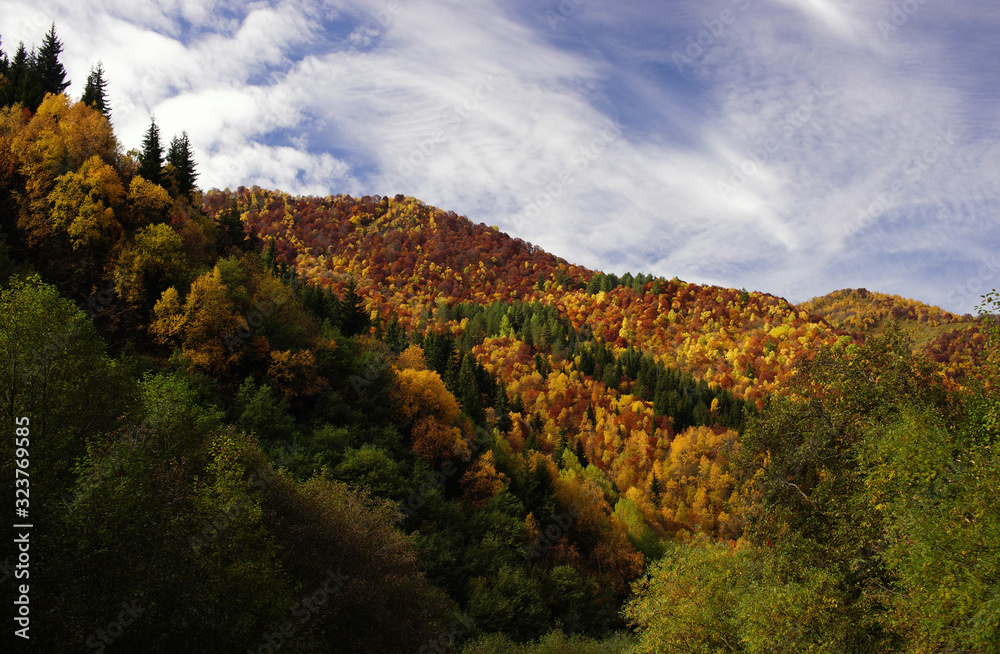 Bright colorful forest on hills at autumn time on background of blue sky with clouds, Svaneti, Georgia