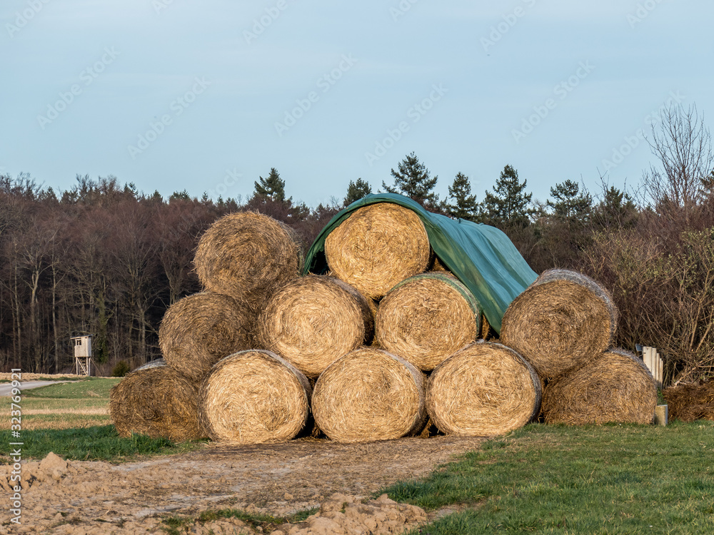 Strohballen vor landwirtschaftlicher Lagerhalle Strohballen vor landwirtschaftlicher Lagerhalle