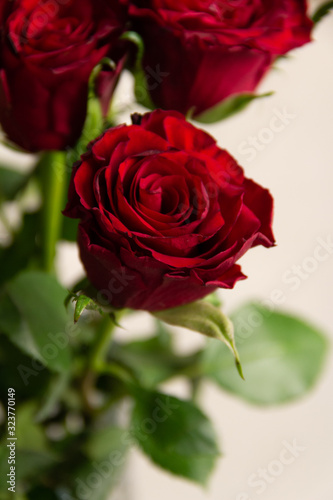 Fototapeta Naklejka Na Ścianę i Meble -   spring bouquet of red roses