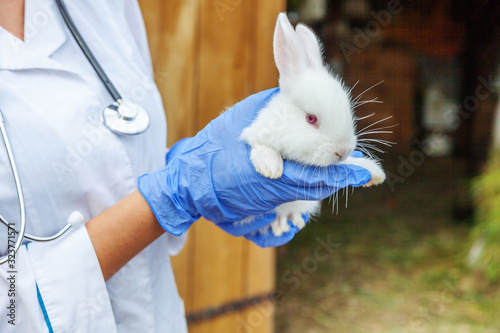 Fototapeta Naklejka Na Ścianę i Meble -  Veterinarian woman with stethoscope holding and examining rabbit on ranch background close up. Bunny in vet hands for check up in natural eco farm. Animal care and ecological farming concept.