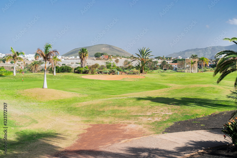 Fototapeta premium Green golf course