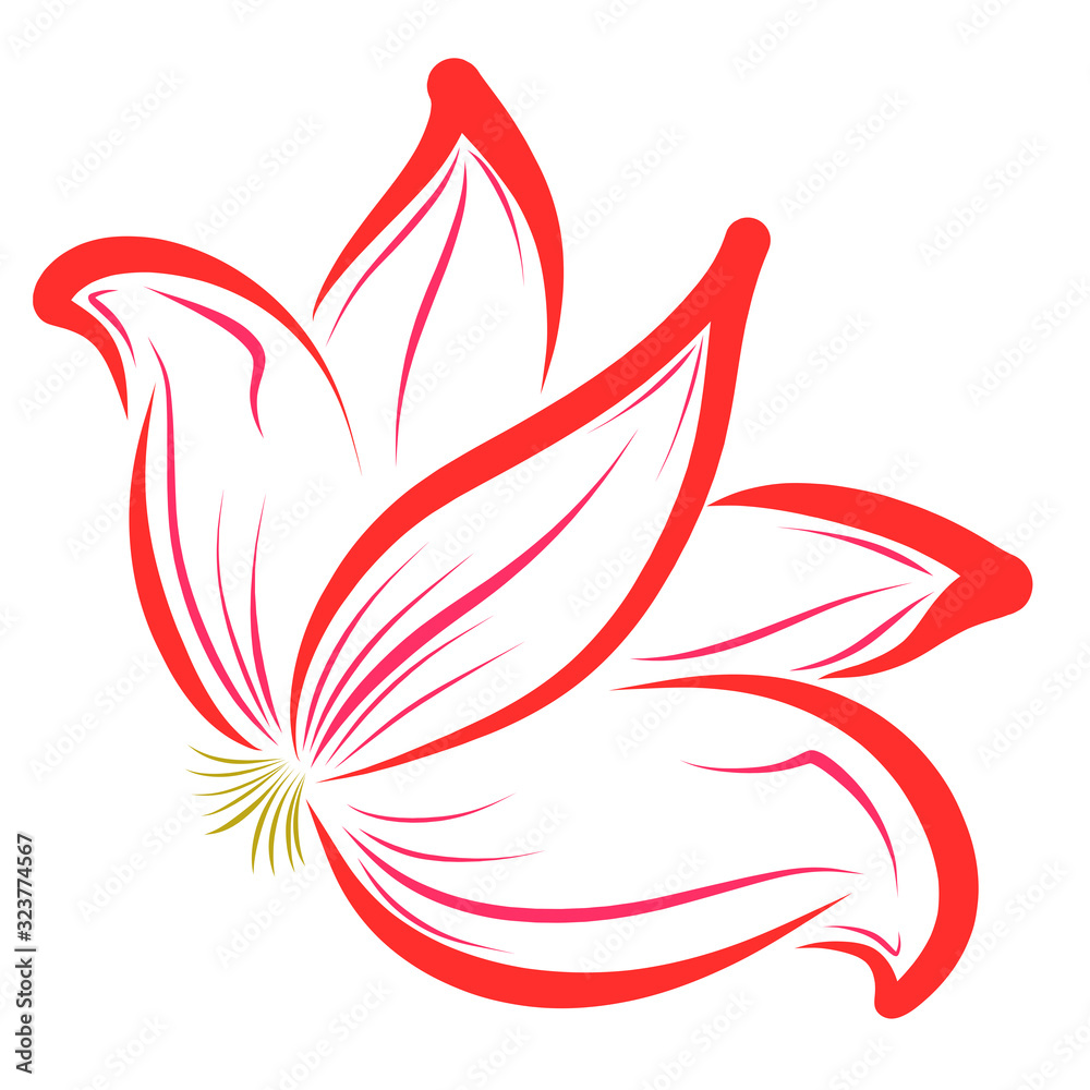 red opened flower, pattern on a white background