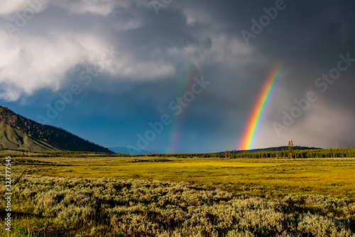 arcobaleno a yellow stone