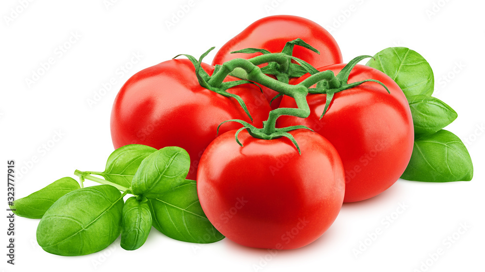 tomato and basil isolated on white background, clipping path, full depth of field tomato and basil isolated on white background, clipping path, full depth of field