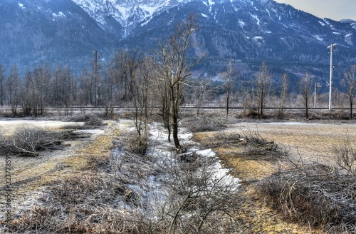 Winter, Jahreszeit, Dellach, Oberkärnten, Kärnten, Drautal, Gras, Feld, Wiese, Tümpel, gefroren, Eis, Eisdecke, vereist, Reif, Raureif, Ast, Äste, abgeholzt, Wasser, Graben, Wassergraben, Grashalm, St photo