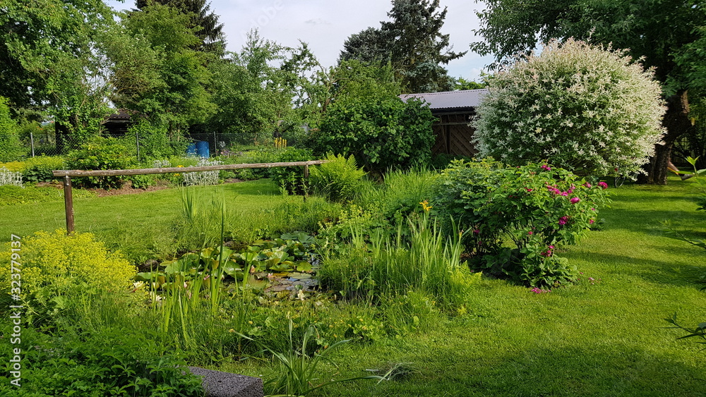 Green garden Pond in Summer