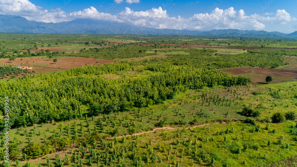 Aerial view of endless lush pastures and farmlands of morogoro town, Tanzania