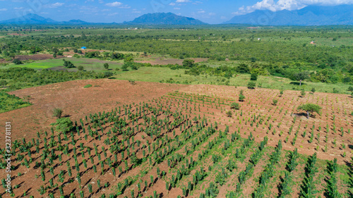 Aerial view of endless lush pastures and farmlands of morogoro town, Tanzania