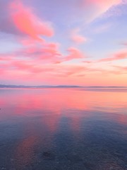 Fotobehang Koraal Roze zonsondergang met bloem aan zee  © Oksana