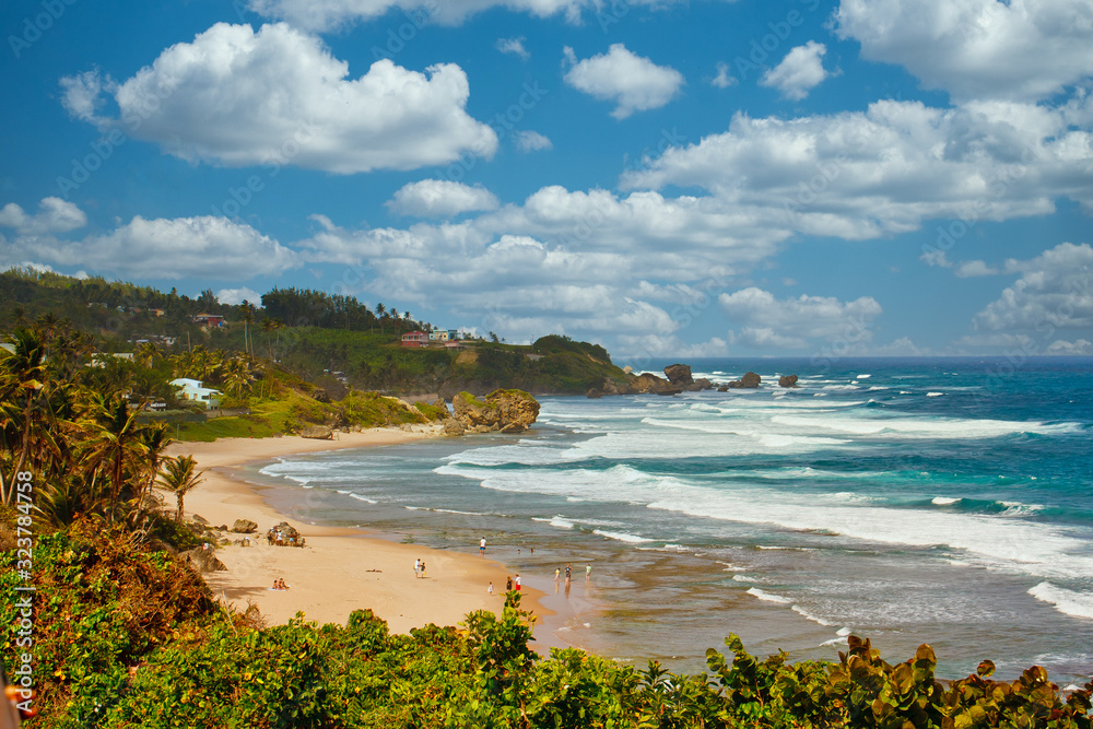 A nice tropical beach below lush, green rainforest A nice tropical beach below lush, green rainforest