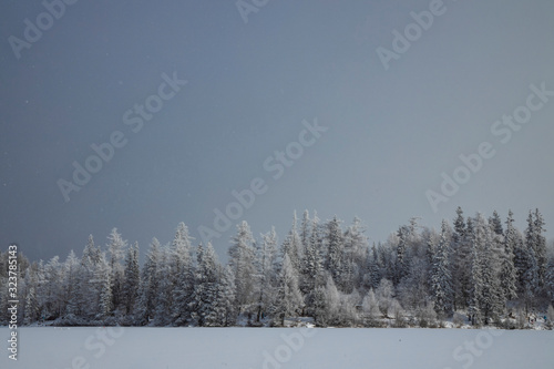 winter forest landscape snowfall weather time wilderness nature outdoor scenic view