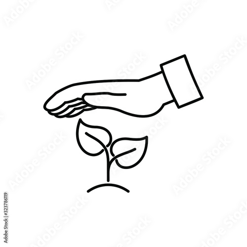hand protecting the sprout, line icon.