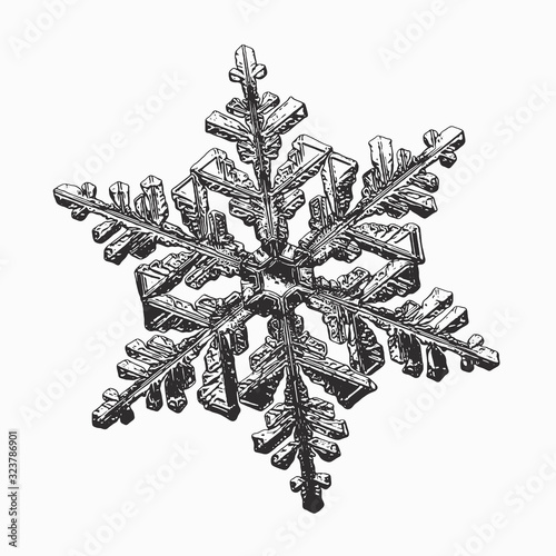 Snowflake isolated on white background. Vector illustration based on macro photo of real snow crystal: complex stellar dendrite with fine hexagonal symmetry, ornate shape and six thin, elegant arms.