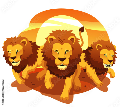 African Lions