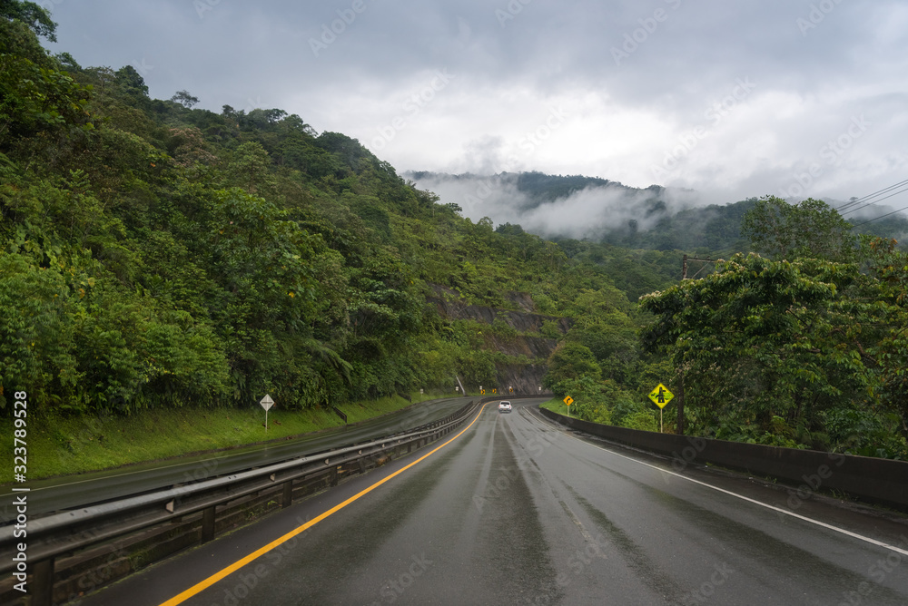 Road wet by rain among lush vegetation. Colombia