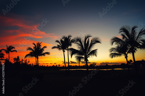 Silhouettes of palm trees against the sunset sky during a tropical night. © ValentinValkov