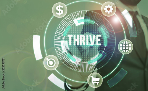 Εκτύπωση καμβά Text sign showing Thrive