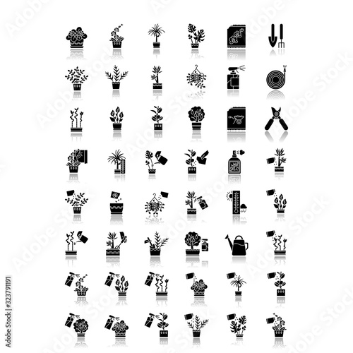 Houseplant caring drop shadow black glyph icons set. Indoor gardening tools. Domesticated plant growing. Watering, fertilizing. Seed planting, spraying. Isolated vector illustrations on white space