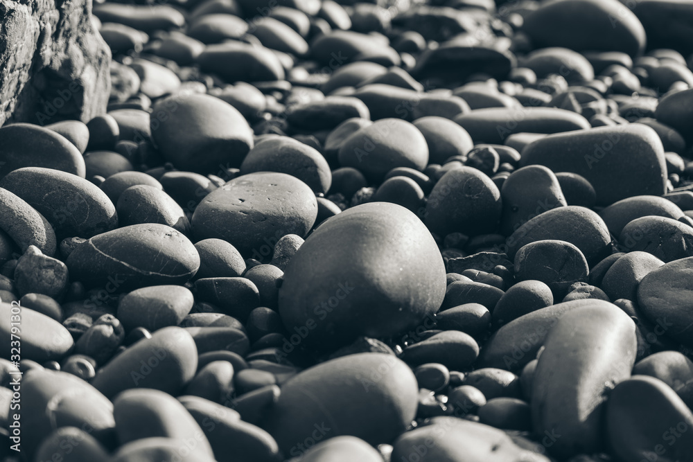 Obraz premium Smooth Round Pebble; Natura Background. Textures
