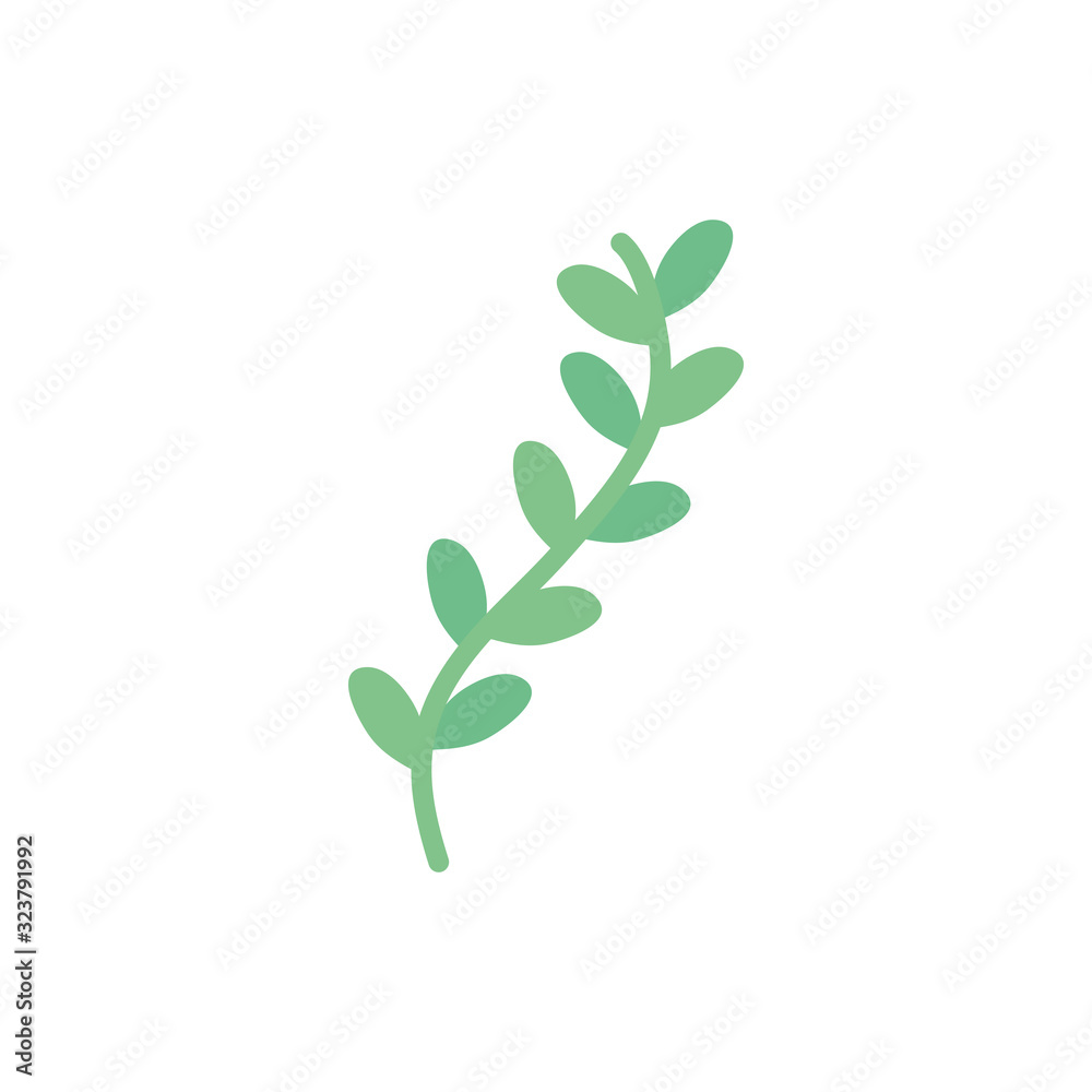 Isolated natural leaves flat style icon vector design Isolated natural leaves flat style icon vector design