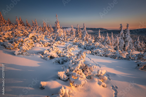 Beautiful winter landscape and sky on mountains. Pure nature around Jeseníky - Czech Republic - Europe