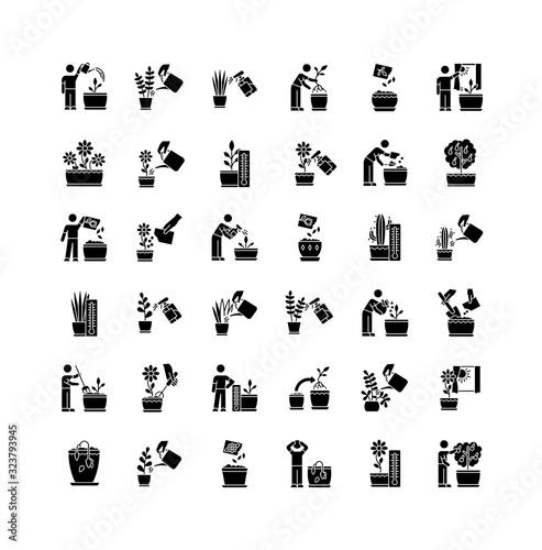 Houseplant care black glyph icons set on white space. Indoor gardening stages. Repotting, replanting. Planting seeds. Watering, soil fluffing. Silhouette symbols. Vector isolated illustration