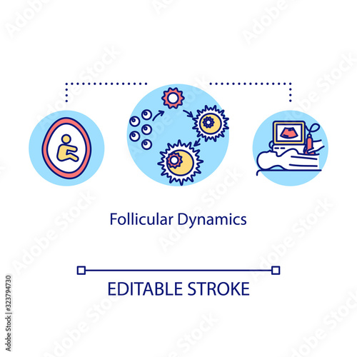 Follicular dynamic concept icon. Menstrual cycle. Female egg cells. Ultrasonography in clinic. Baby development idea thin line illustration. Vector isolated outline RGB color drawing. Editable stroke