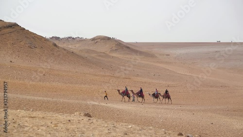Caravan of camels in desert on Giza plateau near great pyramids in Egypt photo