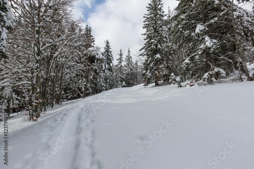 Le gros Martel dans le Vercors photo