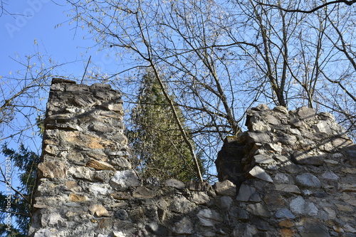 sternberg, lost place, urban exploring, ruine, verwachsen, wald, mauer, verfallen, eingestürzt, steinmauer, burg, burgruine, einsturzgefährdet, baum, bäume, winter, gitter, wernberg, villach-land, gem photo