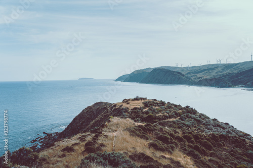 Landscape of Beach in Wellington, New Zealand; photo