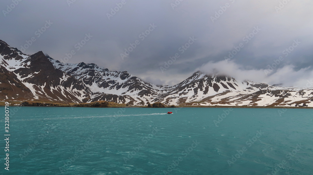 Naklejka premium Landschaft Südgeorgien - Meer & Berge