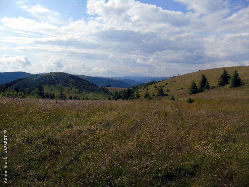 The best alpine meadows