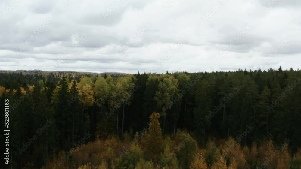 Autumn forest trees aerial view. Autumn forest trees aerial view.