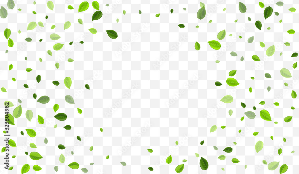 Olive Leaf Vector Design. Grassy Leaves Realistic 